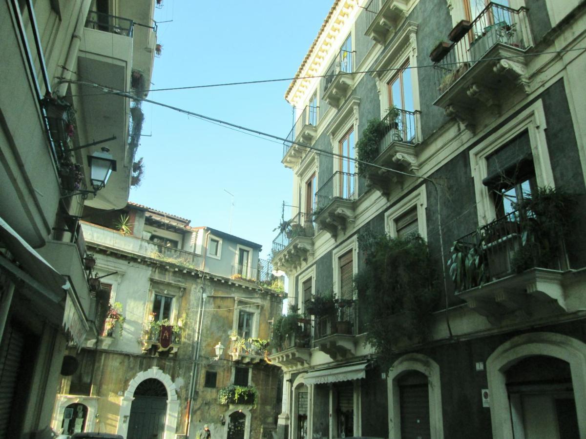 The Good Place * Catania